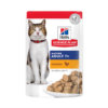 Image of Hill's Science Plan pouch of wet food for mature cats over 7 years, chicken flavour