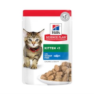 Hills pouch of kitten food, ocean fish flavour