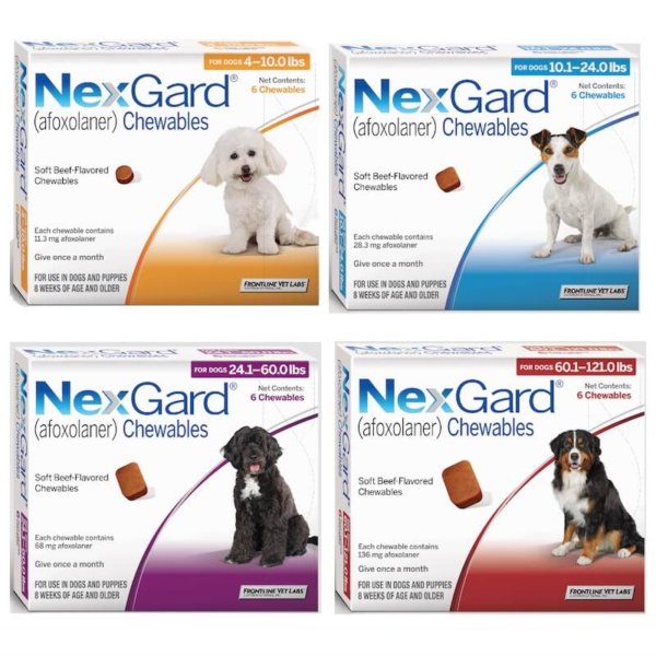 Group image of NexGard tick and flea treatments - four pack images for different size dogs