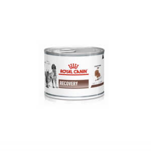 Image of can of Royal Canin Veterinray range wet food in a can - Recovery formula for cats and dogs