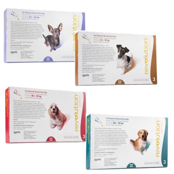 Group image of Revolution parasite treatments - four pack images for different size dogs