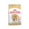 Image of Royal Canin pouch of wet food for adult Beagle