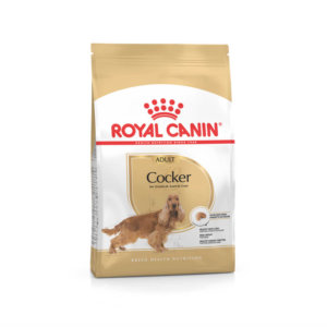 Image of Royal Canin pouch of wet food for adult Cocker Spaniel