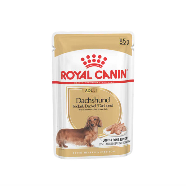 Image of Royal Canin pouch of wet food for adult Dachshund