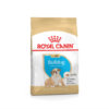 Bag image for Royal Canin dry dog food for English Bulldog puppy