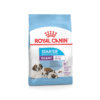 Bag image for Royal Canin Starter food for Giant Breed mother and babydog