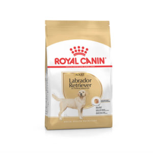 Bag image for Royal Canin dry food for Labrador Retriever Adult