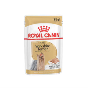 Image of Royal Canin pouch of wet food for adult Yorkshire Terrier