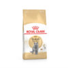 Bag image for Royal Canin dry cat food for British Shorthair adult