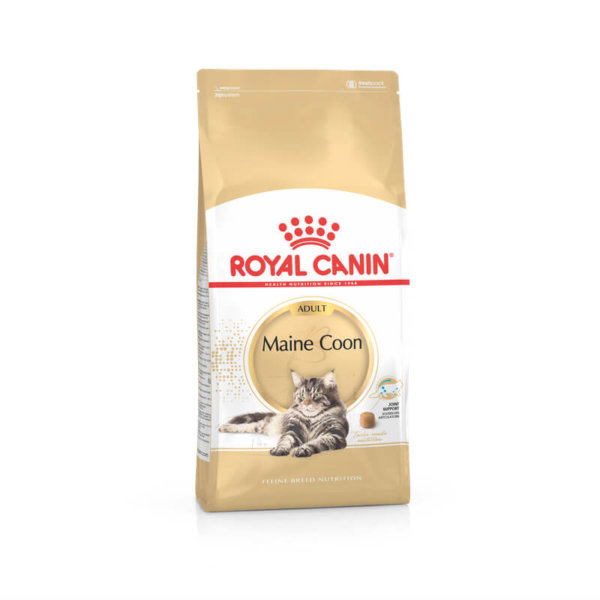 Bag image of Royal Canin dry food for Maine Coon adult cats