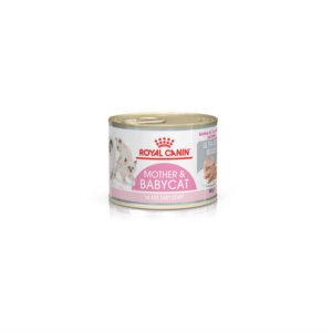 Image for Royal Canin tin of mousse for mother and babycat