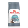 Bag image for Royal Canin Hairball Care dry food for cats